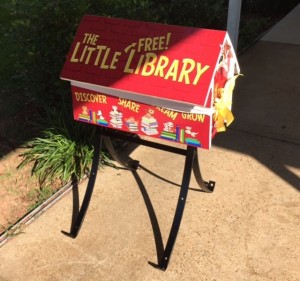 Little Library Install